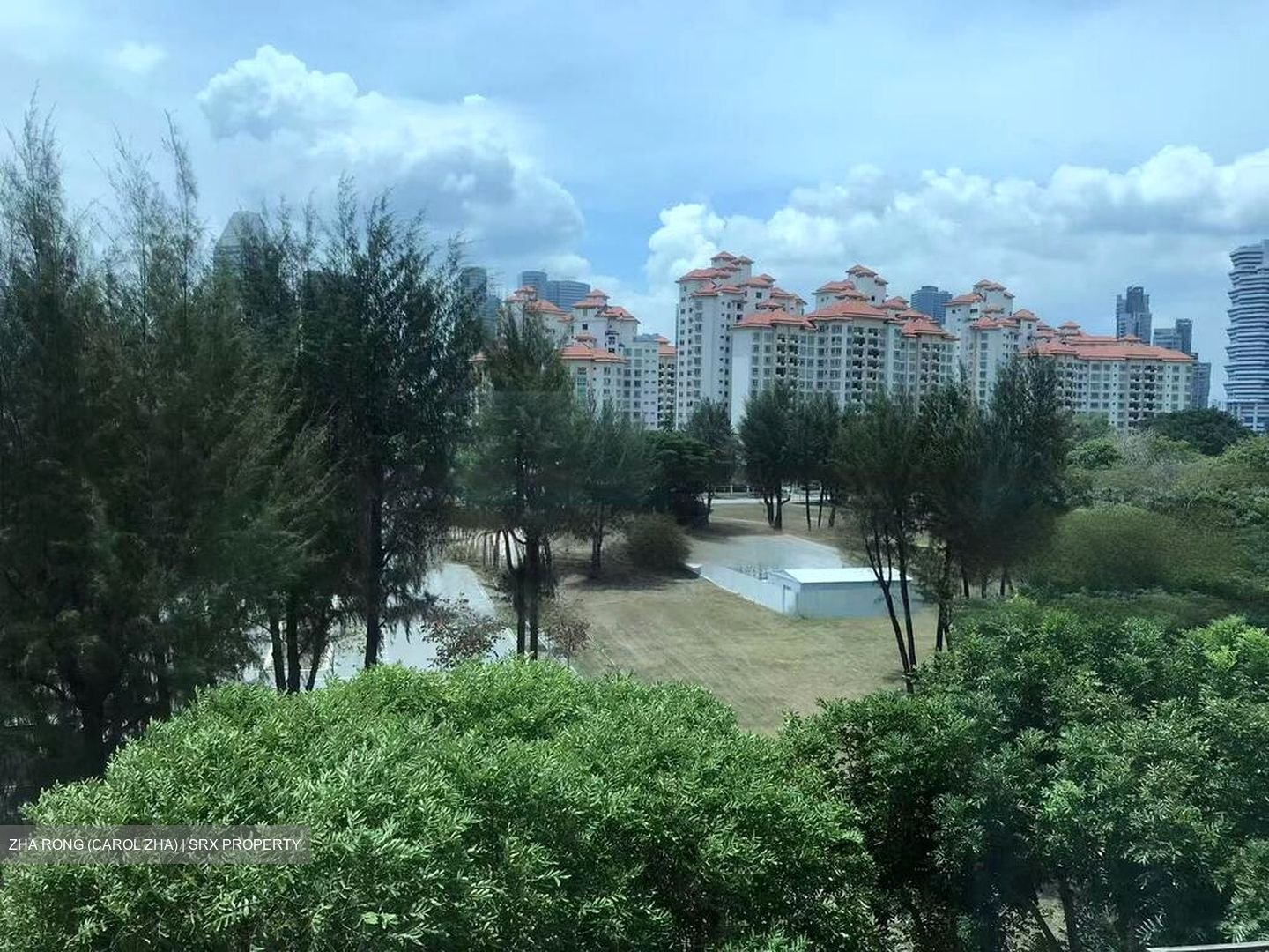 Sanctuary Green (D15), Condominium #572676991